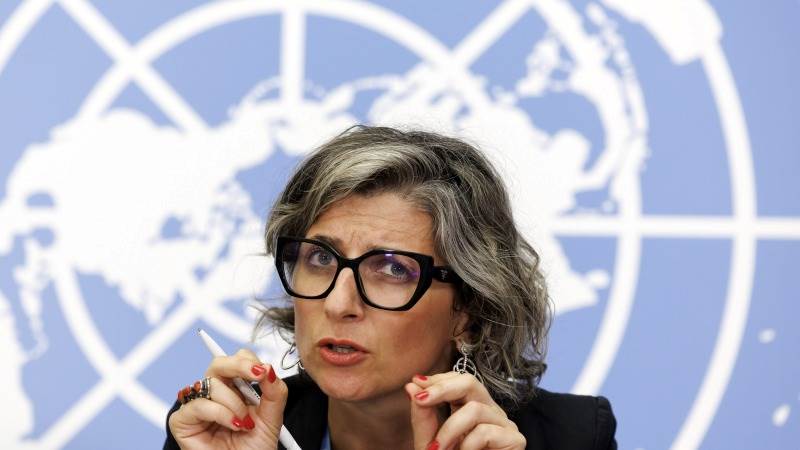 UN rapporteur says Al Jazeera journalists ‘must be protected’