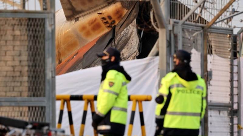 Air control issued bird strike warning to Boeing plane