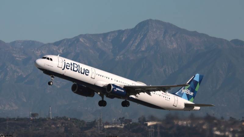 JetBlue says 2 corpses found in landing gear unit