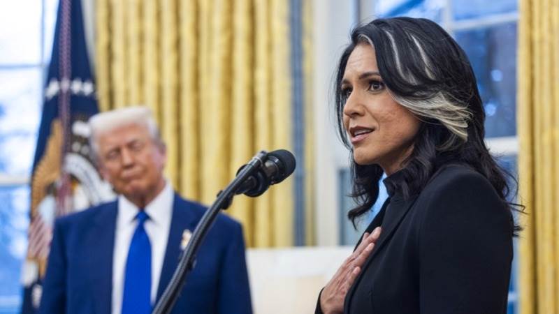 Gabbard: Zelensky trying to drag US into nuclear war