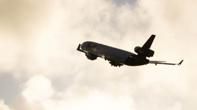 FedEx jet makes emergency landing after bird strike