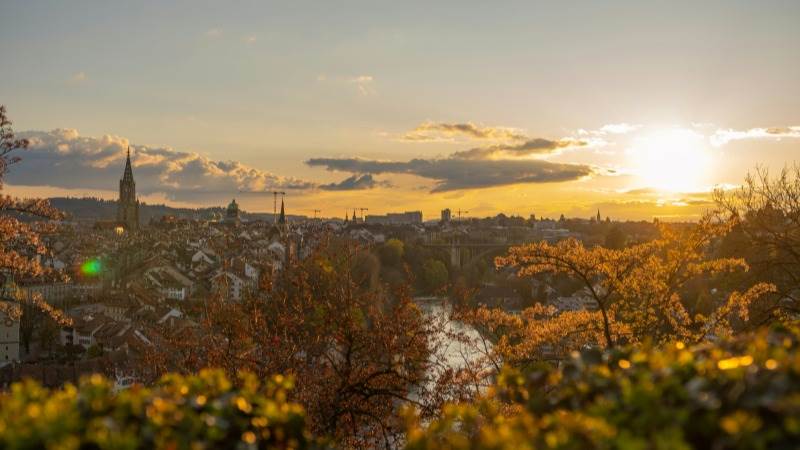 Swiss unemployment rate at 2.9% in January