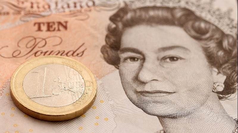 Pound rebounds with British employment data