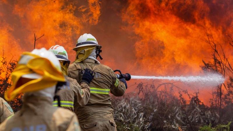 At least 62 die in forest fire in Portugal