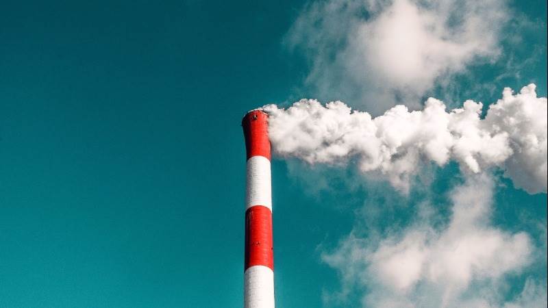 Eurozone industrial producer prices stable in July