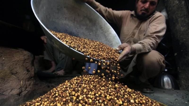 China cancels probe of sorghum imports from US amid trade talks