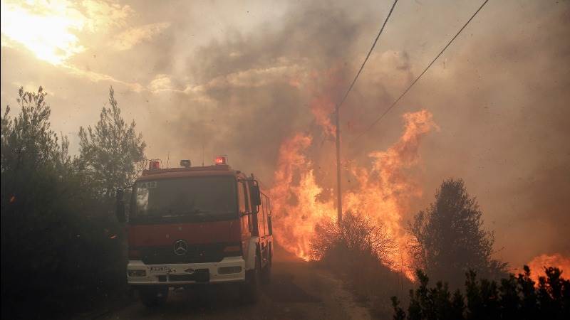 Image result for greece wildfires